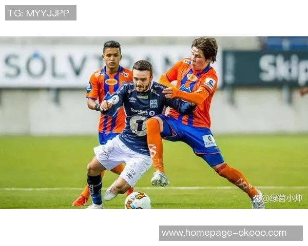 奥地利与挪威足球对决全方位分析战术特点与球员表现