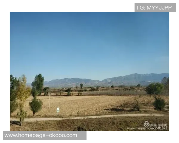 斯通斯的传奇之旅探寻摇滚乐的灵魂与历史的交汇